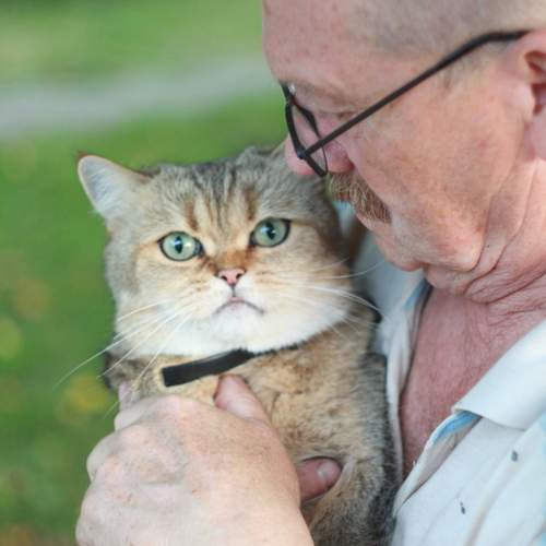 Photo #13339382