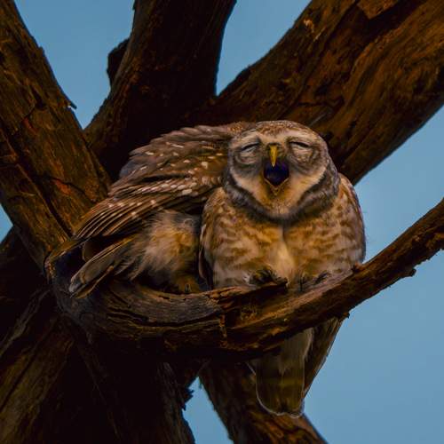 Photo #13339485