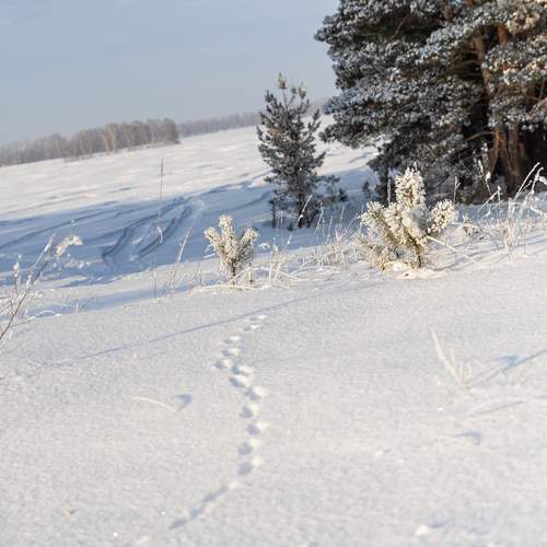 Photo #13339525