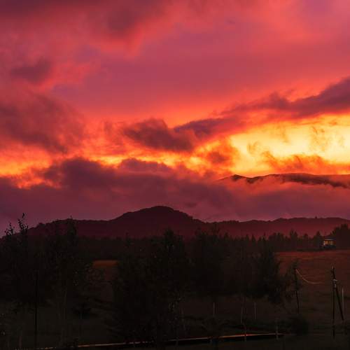 Photo #13339540