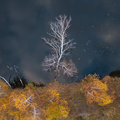 Осень в Курганской области