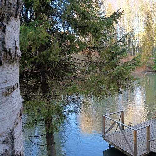 Photo #13339596