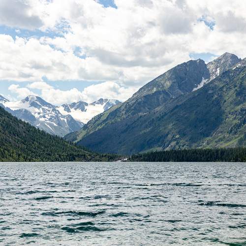 Photo #13339616