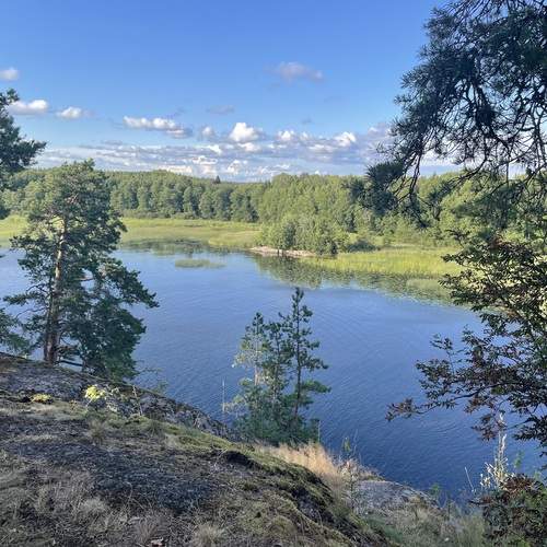 Photo #13339701