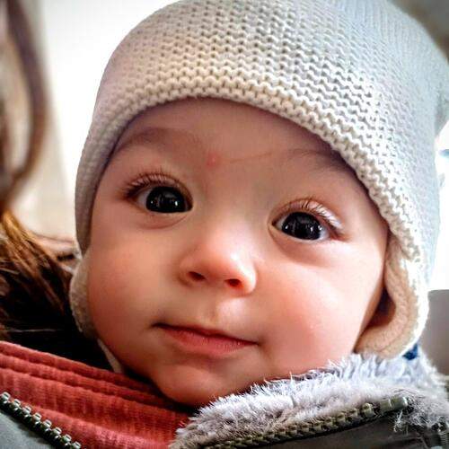 Photo #13339746