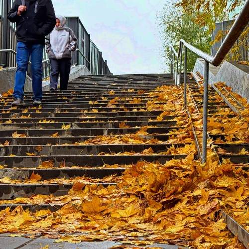 Photo #13339775
