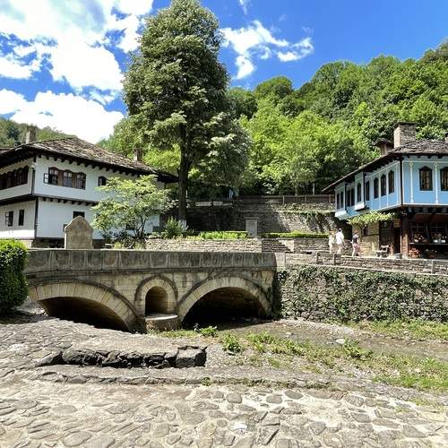 Photo #13339836
