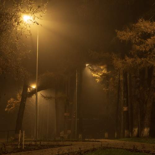 Photo #13339999