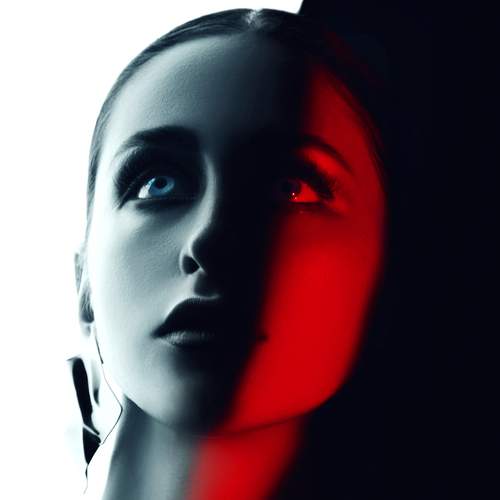 Photo #13340041