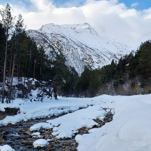 Photo #13340188