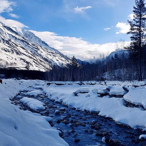 Photo #13340198