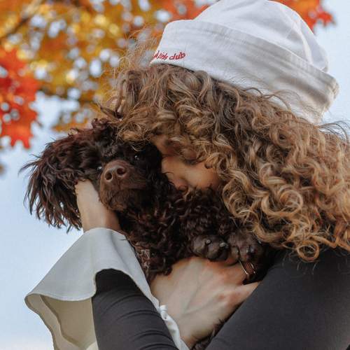 Photo #13340203