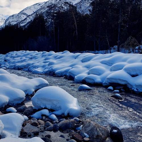 Photo #13340239