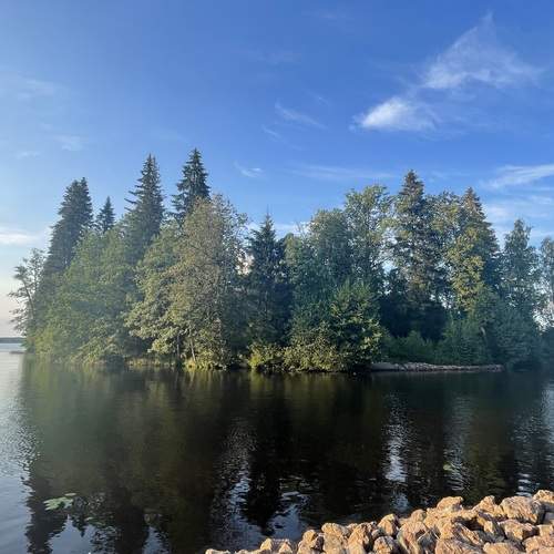 Photo #13340260