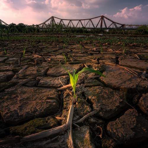 Photo #13340266