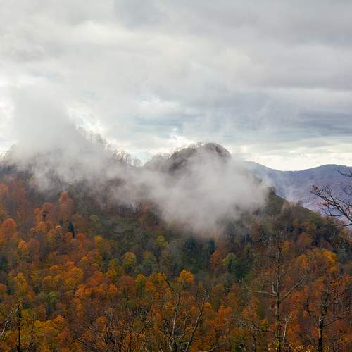 Photo #13340274