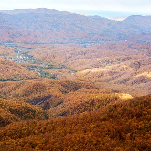 Photo #13340277