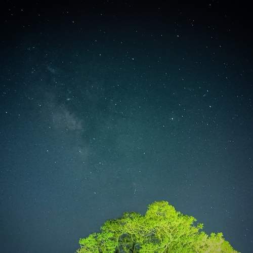 Photo #13340285