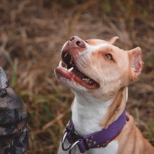 Photo #13340423