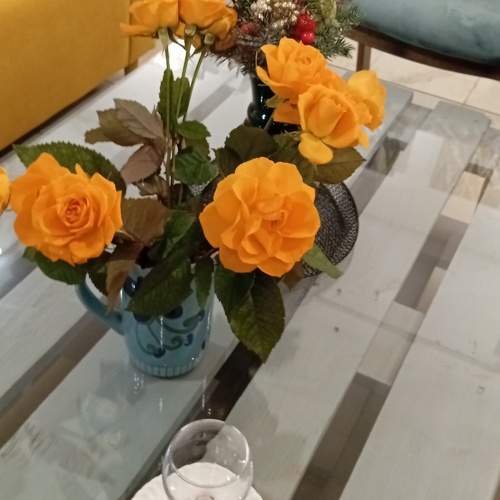 Photo #13340465
