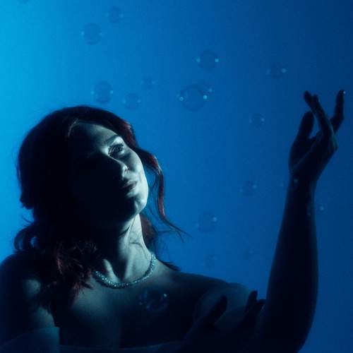 Photo #13340588