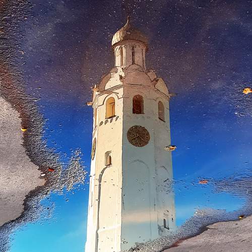 Photo #13340618