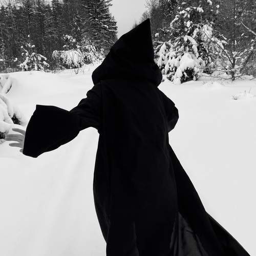 Photo #13340634