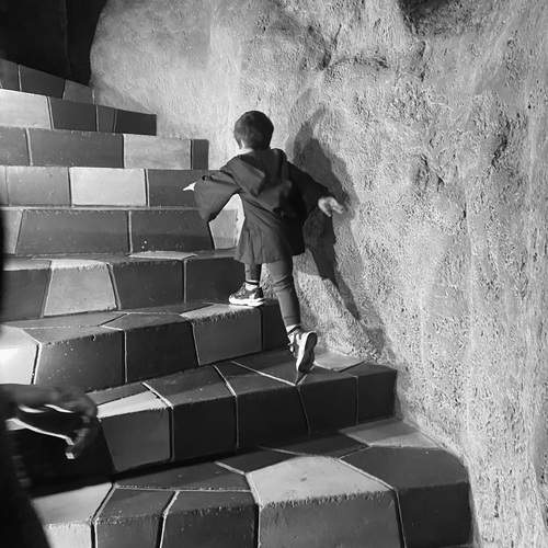 Photo #13340642
