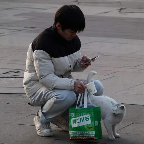 Photo #13340854