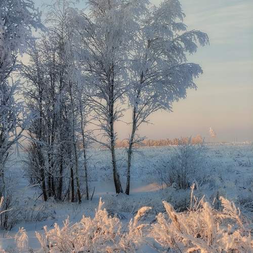 Photo #13340888