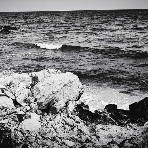 Photo #13340907