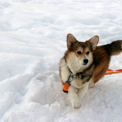 Photo #13341026