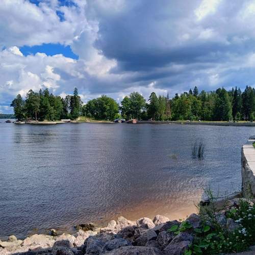 Photo #13341054