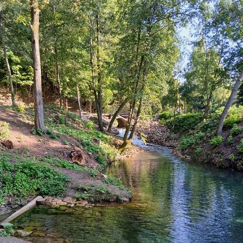 Photo #13341060
