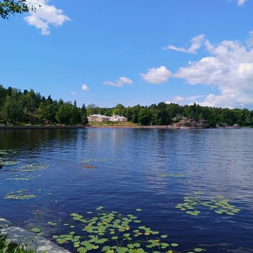 Photo #13341082