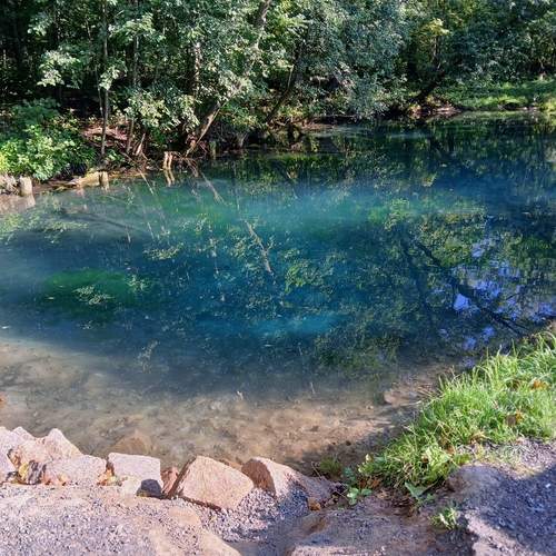 Photo #13341085