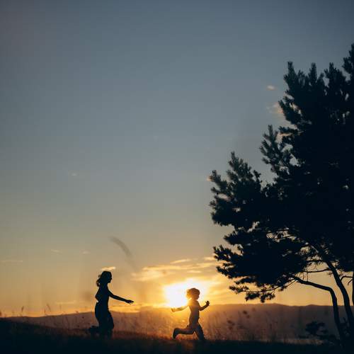 Photo #13341106