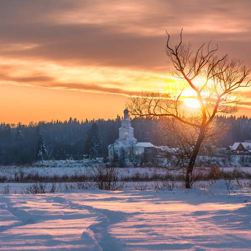 Photo #13341172