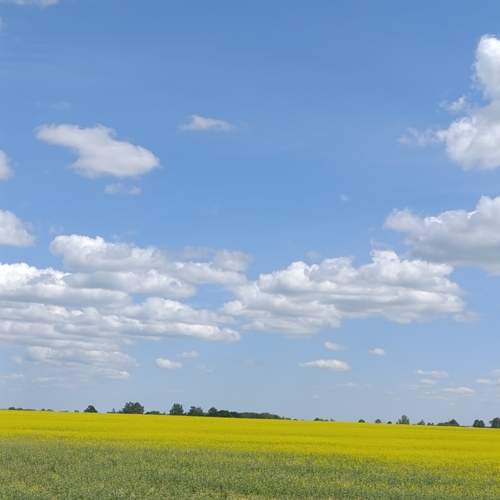 Photo #13341266