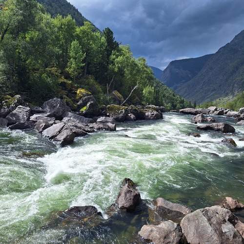 Photo #13341301