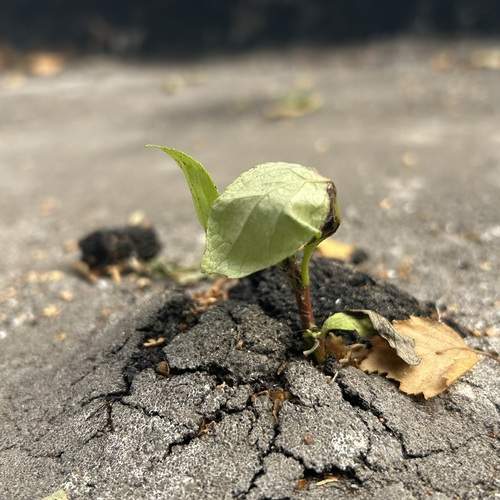 Photo #13341316