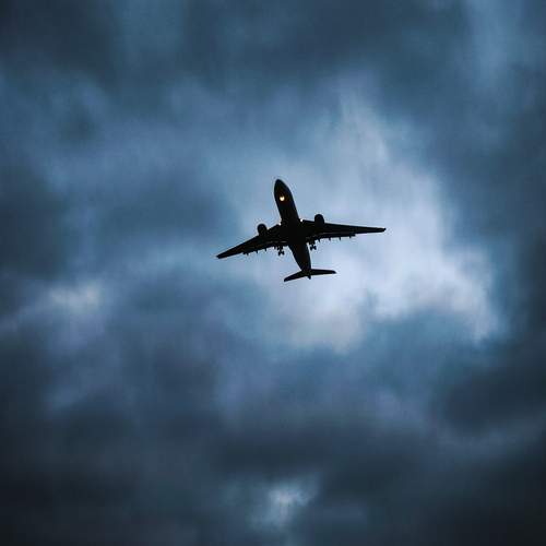 Photo #13341440