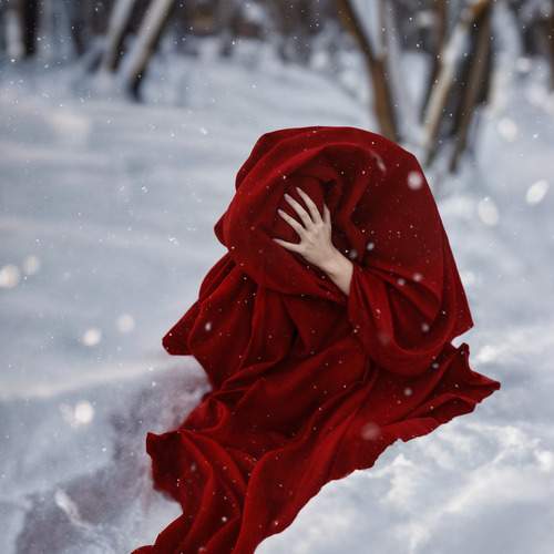Photo #13341718