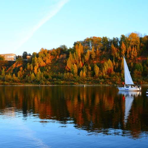 Photo #13341788