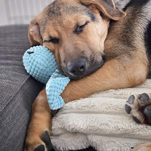 Photo #13341849