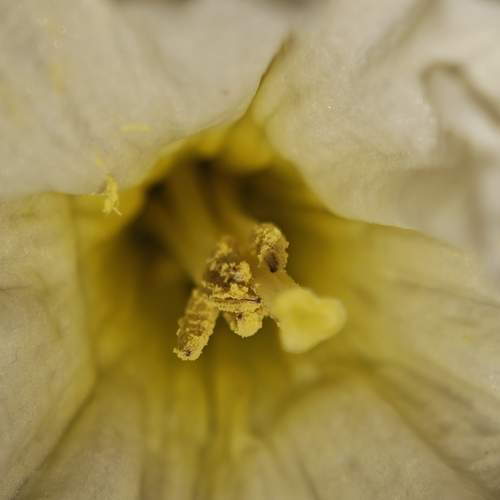 Photo #13341913
