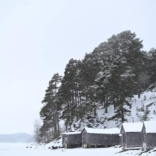 Photo #13341941