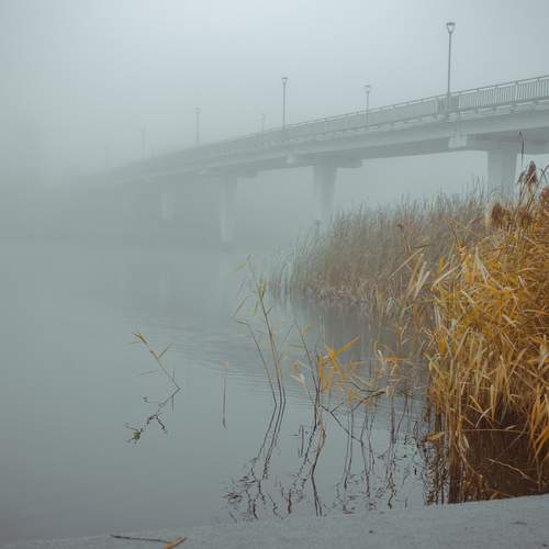 Photo #13341951