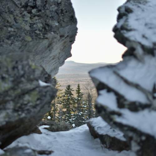 Photo #13342036