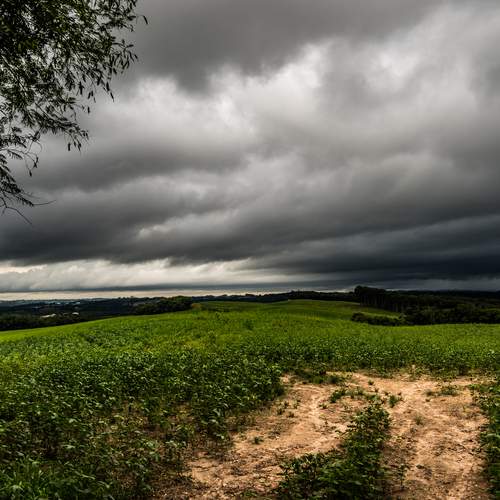 Photo #13342044